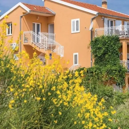 Apartment Petra Raslina